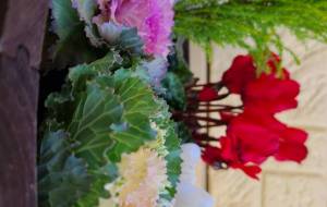 たたずみ - 林田きよし 