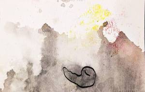 胎児の記憶 - つし