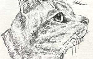 上を向いて - Yukari 