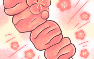 串梅干し増し増し - はなもも 