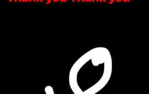 Good night - 笹谷正博 