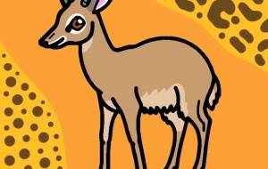 キルクディクディク - シマハイエナ 