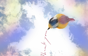 ありがとうを伝えたい - かずもがな 