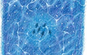 星降る海のまほろば - くこ 