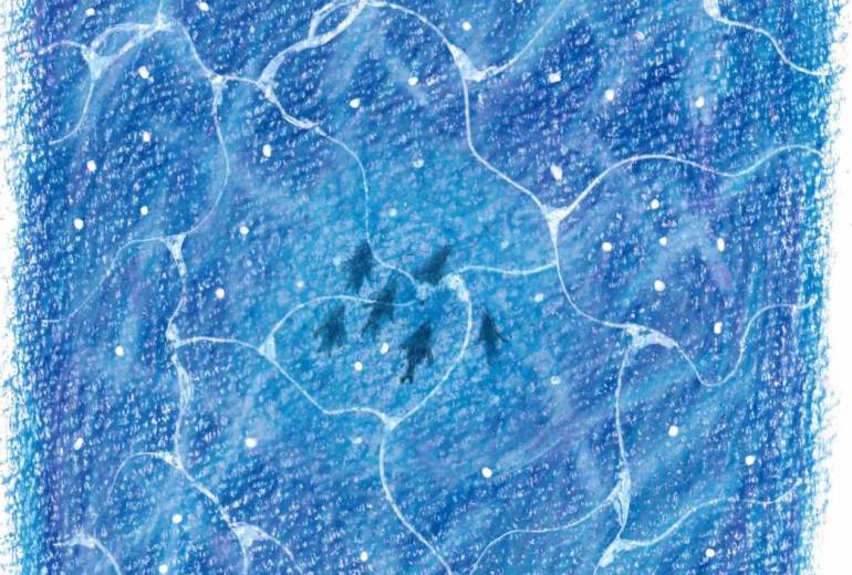 星降る海のまほろば