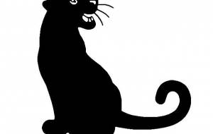 黒ヒョウ - シマハイエナ 