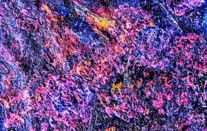 あじさいとつばめ - 久保田　俊 