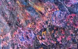 あじさいとつばめ、アナログ。 - 久保田　俊 