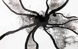 ブラックホール - つし 