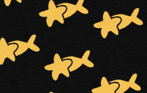 星魚 - 黒越瑠香 