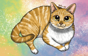 きらきら - Yukari 