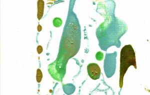 Horse2026 - やまざき 