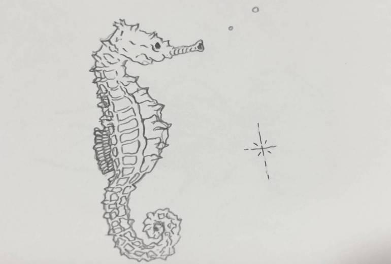 タツノオトシゴ