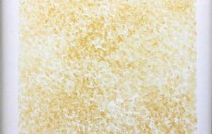 金の粒 - スターシード和 