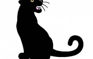 黒ヒョウ - シマハイエナ 