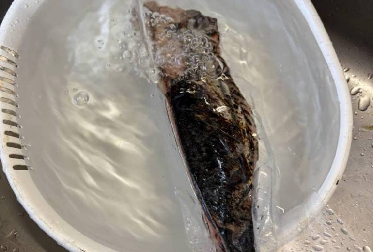 マイブーム続く冷凍カツオのたたき