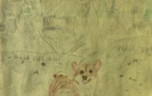 雪遊びを楽しむ柴犬 - ユリアルメリア 