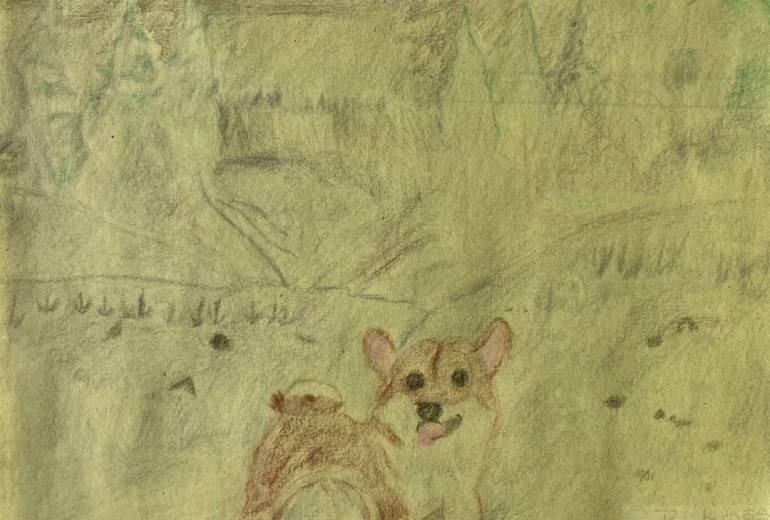 雪遊びを楽しむ柴犬