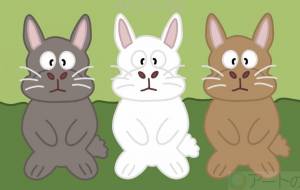 3匹の兎 - アクター 