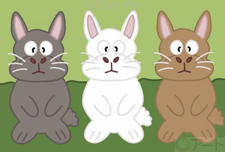 3匹の兎