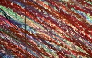 アールブリツト挑戦 - 笹谷正博 