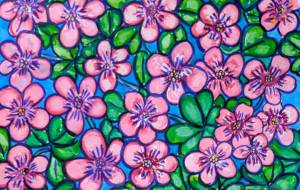 オキザリス - satti 