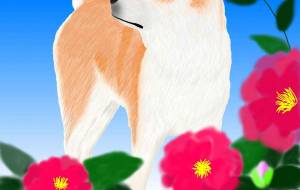 花と秋田犬「さざんか」 - 華凪 