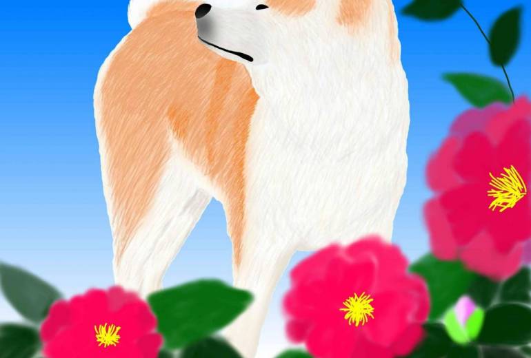 花と秋田犬「さざんか」