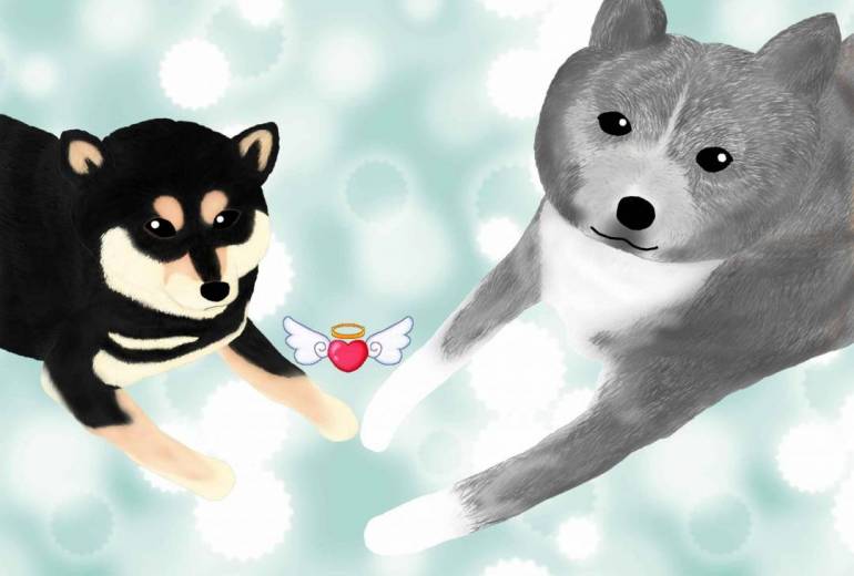 ぼくたち仲良し（秋田犬・虎毛、柴犬・黒毛）