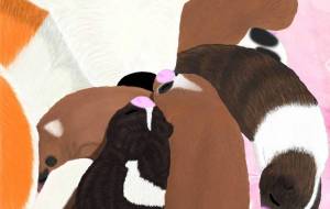 母子愛(秋田犬・赤毛、赤ちゃん達) - 華凪