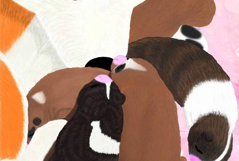 母子愛（秋田犬・赤毛、赤ちゃん達）