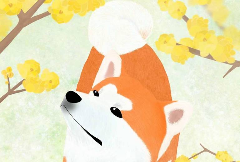 花と秋田犬「蝋梅」（秋田犬・赤毛）