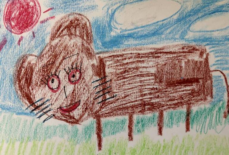 ヤマラナヤタア