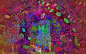 ありのままの姿1 - 菅原たんぽぽ