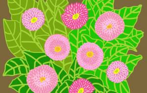 デイジー（春の花） - ちろ 