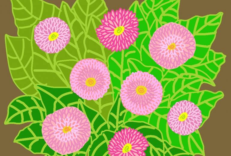 デイジー（春の花）