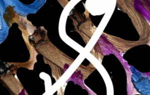 何も考えてないわけではない今後のこととかもう歳だし終わりかなあ - 笹谷正博 