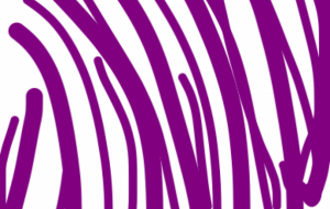 下がる - 笹谷正博 