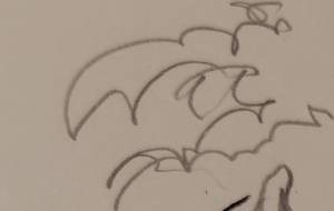 盲目の森 - 万煉(まれん)