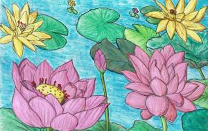 スイレンとハスの花 - 三島礼子 