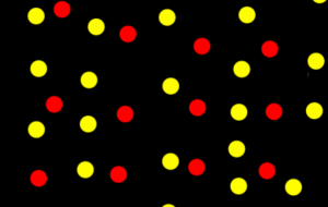 水玉模様 - 笹谷正博 