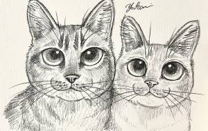 チャチャとみかん - Yukari