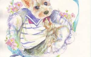 淳子さんちのレオ君 - 広田早苗 