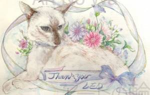 竹内家のレオ君 - 広田早苗 