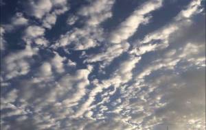 諸行無常の心 - ハク. 