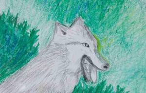 オオカミ - 小雪0219 