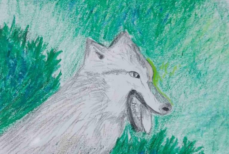 オオカミ - 小雪0219 