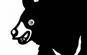 ニホンツキノワグマ - シマハイエナ 