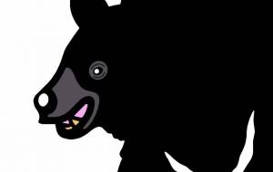 ニホンツキノワグマ - シマハイエナ 