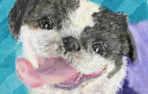 ニコニコ大福くん - まねきぱんだ 